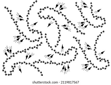  Rabbit foot print steps path and carrot vector doodle hand drawn background.