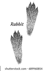 Download Rabbit Footprint Images, Stock Photos & Vectors | Shutterstock