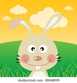 Rabbit in the forest