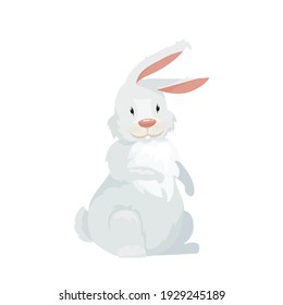 The rabbit is funny, cute, red, gray and white. Long ears