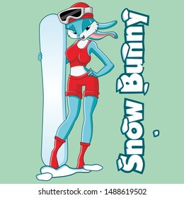 rabbit girl cartoon with snow board character vector