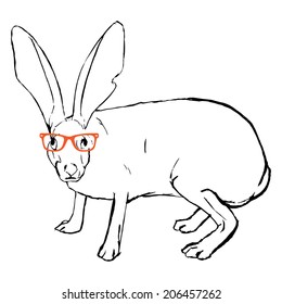 Rabbit with glasses 