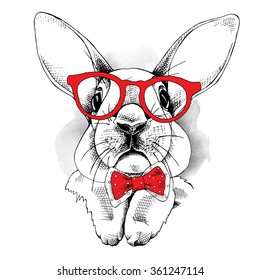 Rabbit in a glasses and with red tie. Vector illustration.
