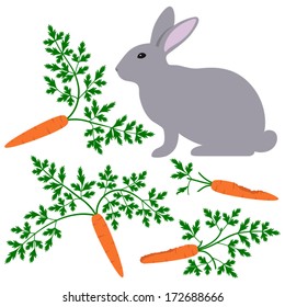 Rabbit with gnawed carrots and leaves isolated on white background