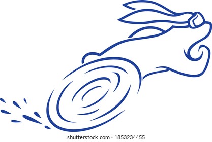 Rabbit with Goggles Running So Fast