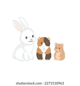 Rabbit, guinea pig and hamster, vector hand drawn illustrations with animal character
