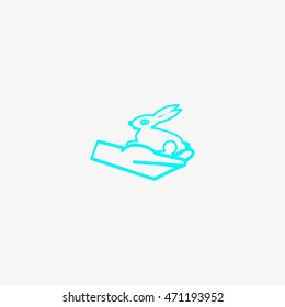 rabbit in the hand