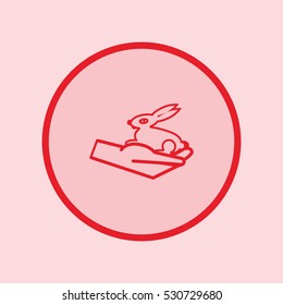 rabbit in the hand