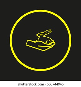 rabbit in the hand