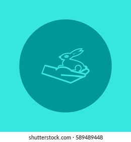 rabbit in the hand