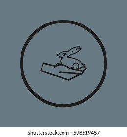 rabbit in the hand