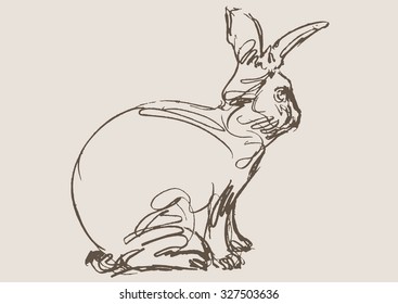 rabbit hand draw sketch, vector