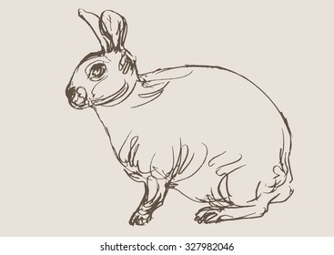 rabbit hand draw sketch, vector