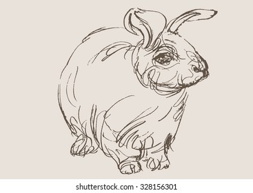 rabbit hand draw sketch, vector