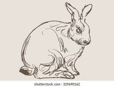 rabbit hand draw sketch, vector