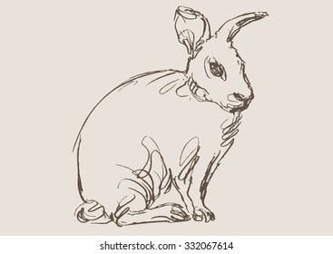 rabbit hand draw sketch, vector