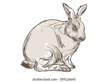 rabbit hand draw sketch, vector