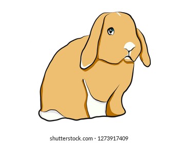 Rabbit hand drawing