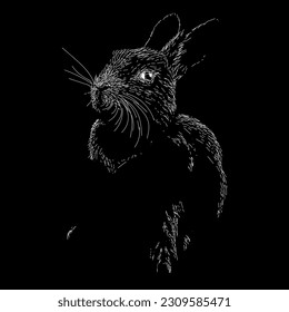 rabbit hand drawing vector isolated on black background.