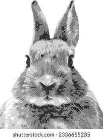 Rabbit hand drawn engraving style. Black stroke animal on white background. Vector illustartion.