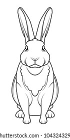 Rabbit hand drawn style on white background. animal coloring page. vector illustration.