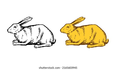 Kaninchen, handgezeichnet, Vektorgrafik einzeln auf weißem Hintergrund.