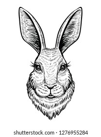 Rabbit hand drawn vector sketch. Easter symbol. Engraving black line illustration isolated on white background. 
