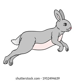 rabbit happy jumping vector illustration,
isolated on white background.top view