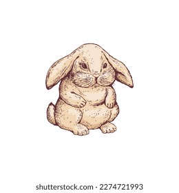 Rabbit or hare animal sitting hand drawn gravure colored vector illustration isolated on white background. Rabbit or bunny in vintage style for prints and decor.
