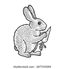 rabbit hare bunny with carrot sketch engraving vector illustration. T-shirt apparel print design. Scratch board imitation. Black and white hand drawn image.