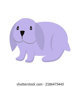 Rabbit or hare cartoon bunny pet. Animal icon and farm breed easter. Rodent isolated white vector illustration and adorable furry animal. Drawing wildlife and zoo rabbit sign fauna