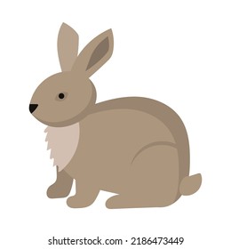 Rabbit or hare cartoon bunny pet. Animal icon and farm breed easter. Rodent isolated white vector illustration and adorable furry animal. Drawing wildlife and zoo rabbit sign fauna