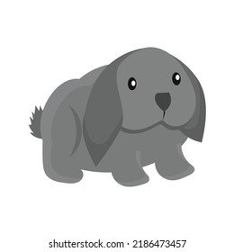 Rabbit or hare cartoon bunny pet. Animal icon and farm breed easter. Rodent isolated white vector illustration and adorable furry animal. Drawing wildlife and zoo rabbit sign fauna