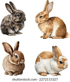 Rabbit, hare, clipart, isolated vector illustration.