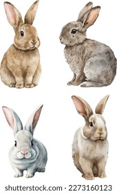 Rabbit, hare, clipart, isolated vector illustration.