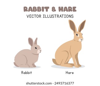 Rabbit and hare comparison vector illustrations. Cute rabbit vs hare cartoon clipart set in flat style. Pet animals, farm animals concept