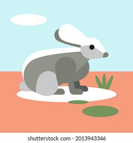 Rabbit hare, vector illustration. A hare with big ears. Emblem sign for shops and markets. Animal husbandry, aesthetic picture for a postcard, a poster, a signboard.