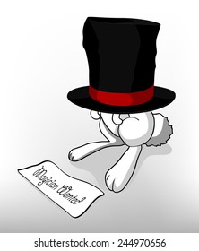 Rabbit in hat