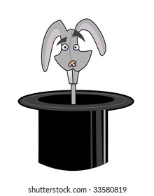 rabbit in a hat