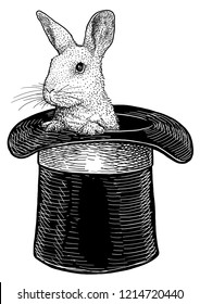 Rabbit in hat illustration, drawing, engraving, ink, line art, vector