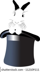 rabbit in hat isolated on white background