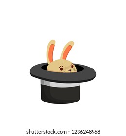 rabbit in a hat, magic trick