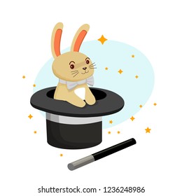 rabbit in a hat, magic trick