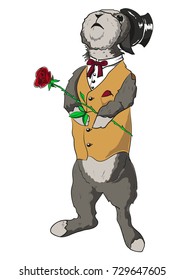 Rabbit with hat and vest