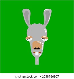 Rabbit head in cartoon style