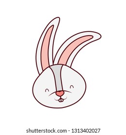 Graphical Portrait of Rabbit Isolated On White Background Images, Stock