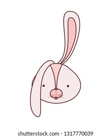 rabbit head isolated icon