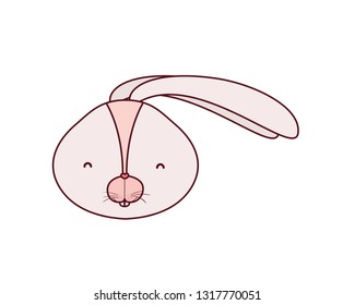 rabbit head isolated icon
