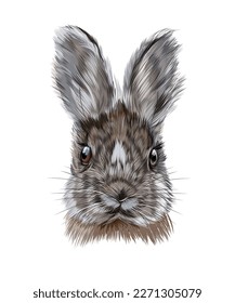 Retrato de cabeza de conejo, liebre de pinturas multicolores. Esplandor de acuarela, dibujo de color, realista. Ilustración vectorial de pinturas