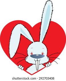 rabbit in the heart shape